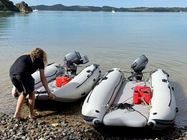 cruise bay of islands 768x576