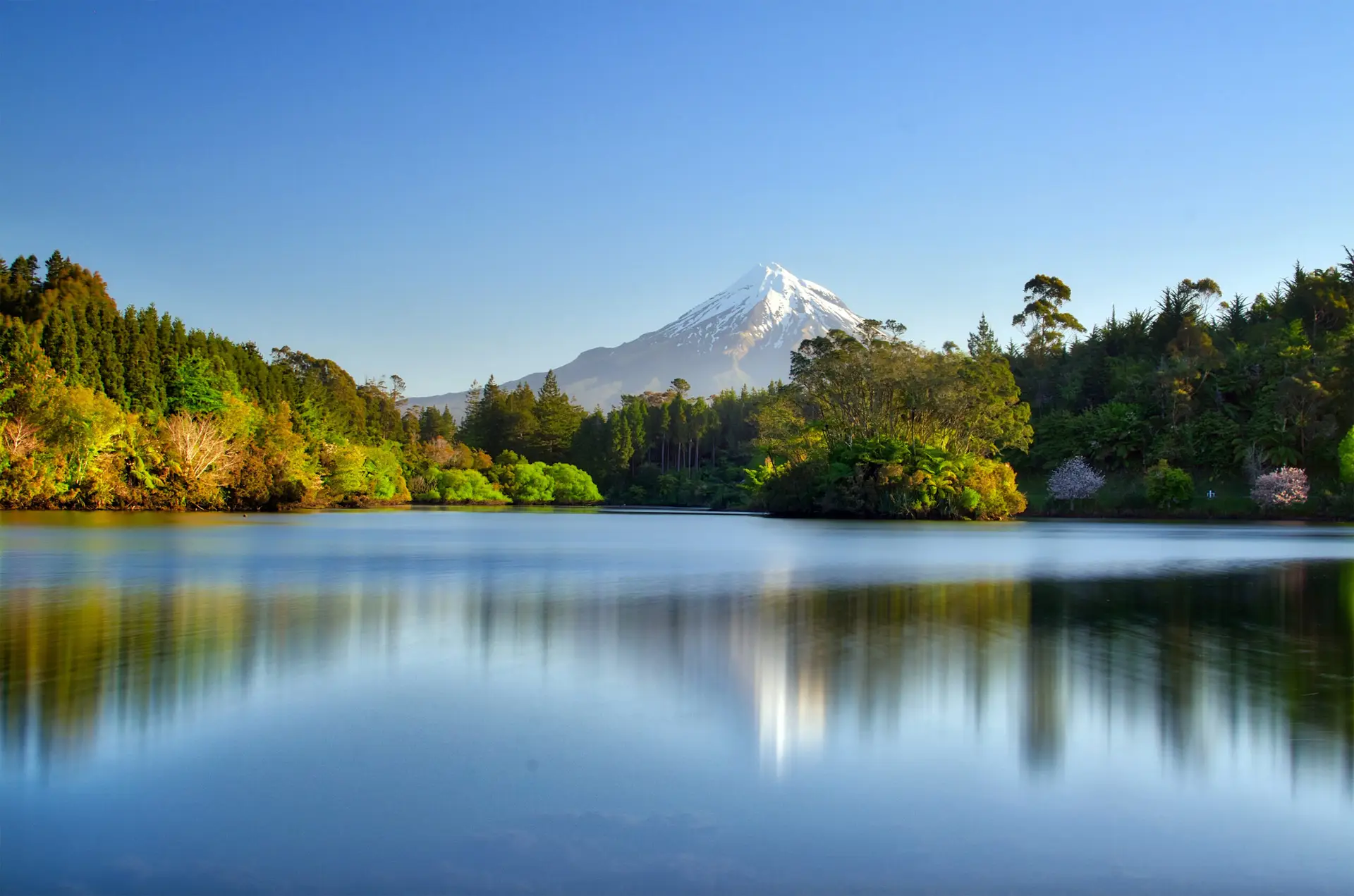 nz online travel