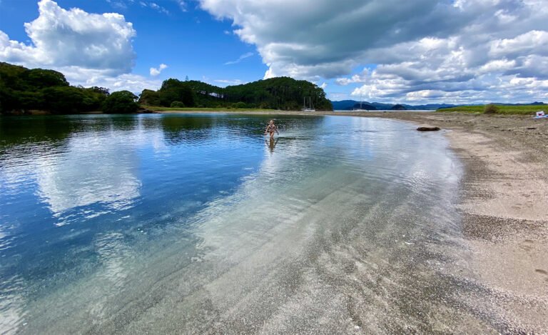 zindabar charters 768x469