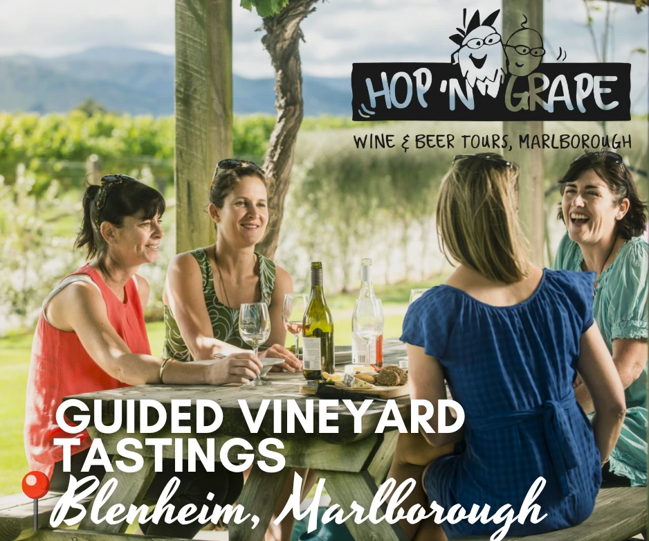 Guided Vineyard tastings Blenheim, Marlborough 