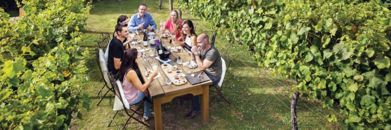 Wine tour from Blenheim 768x256