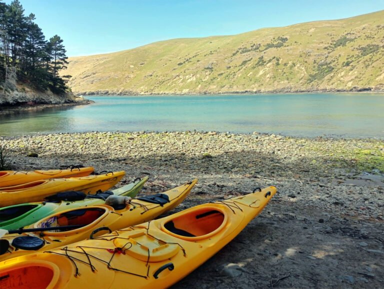 akaroa kayaking 768x578