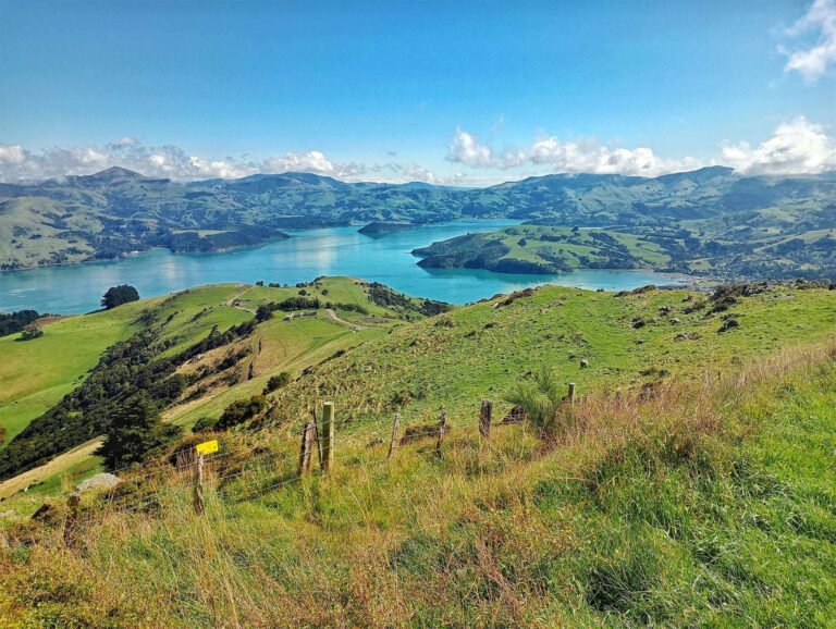 akaroa marine reserve 768x578