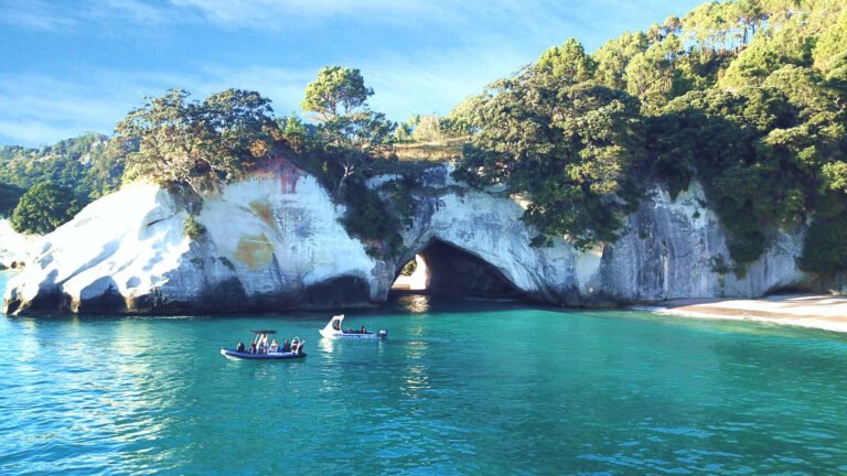 cathedral cove boat tour 768x432