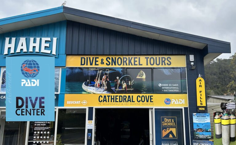 cathedral cove dive and snorkel 768x472