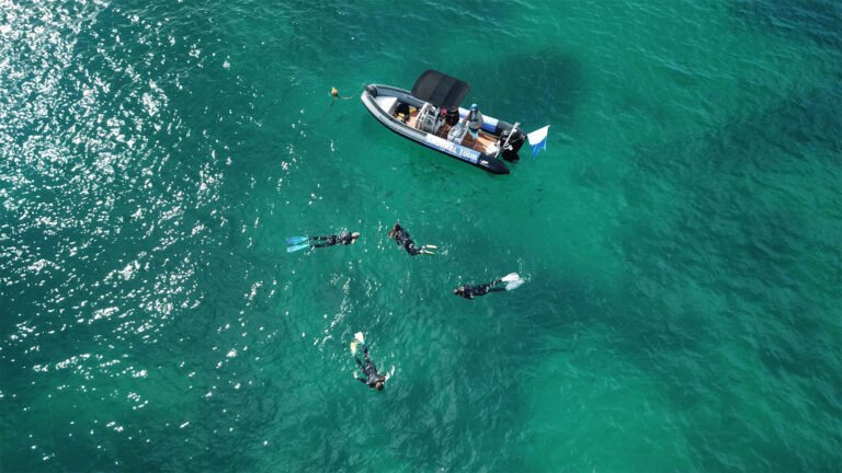 cathedral cove snorkel 768x432