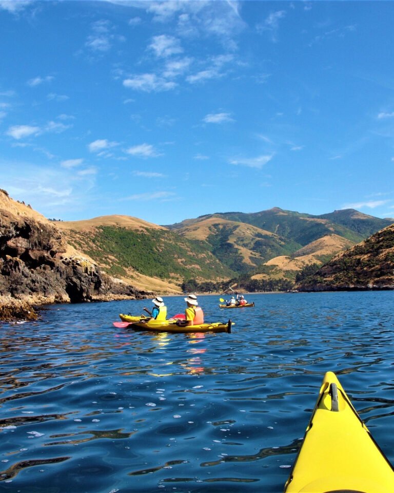 kayak akaroa 768x960
