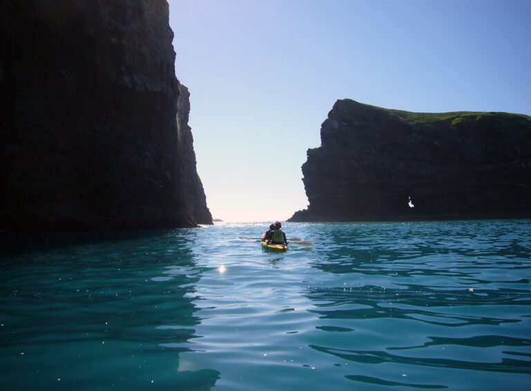 sea kayaking 768x566
