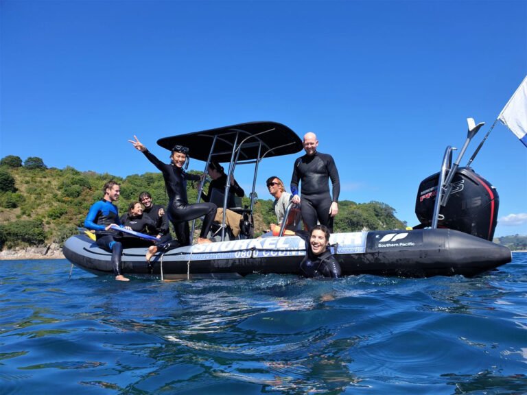 snorkel coromandel 768x576