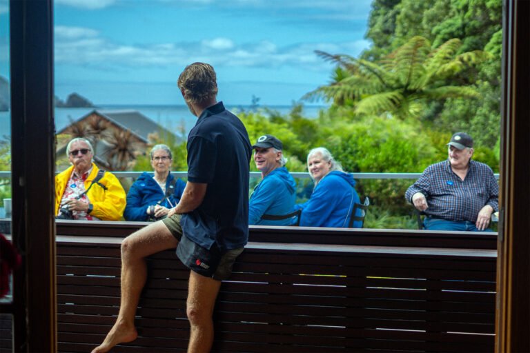 tour marlborough sounds 768x512