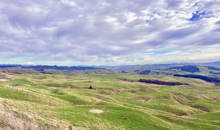 Waitawhiti Station 768x453