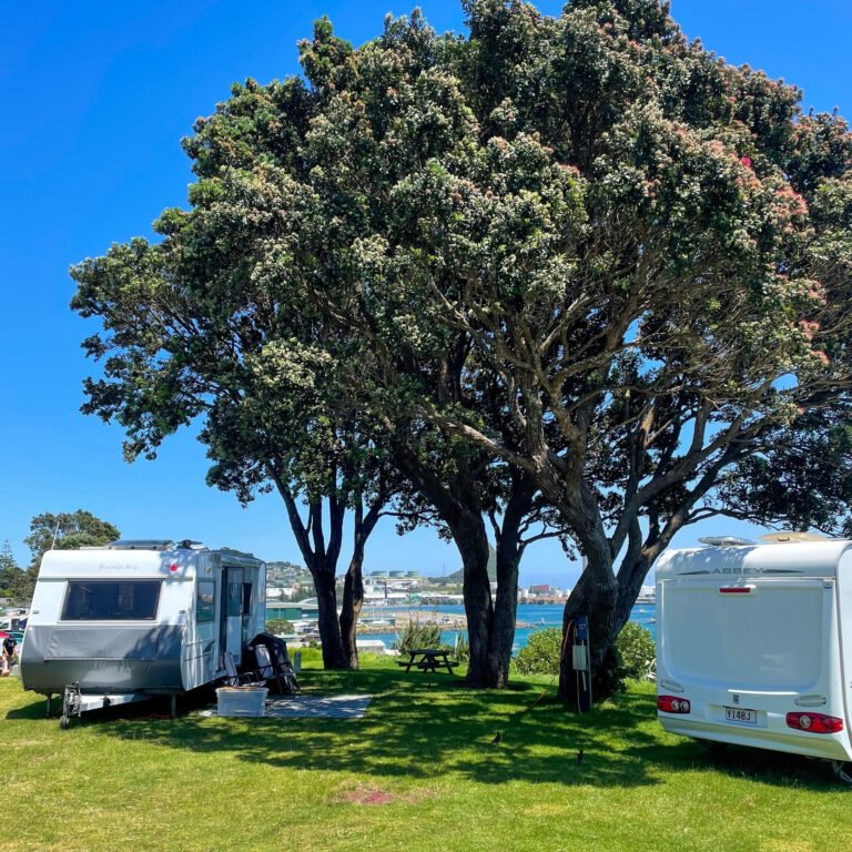 camping taranaki 768x768