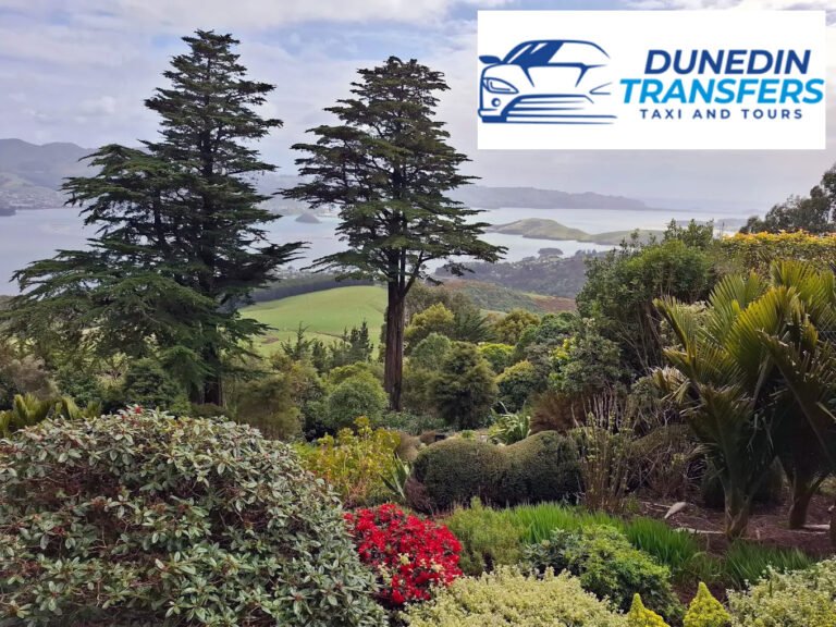 dunedin airport shuttle 2 768x576