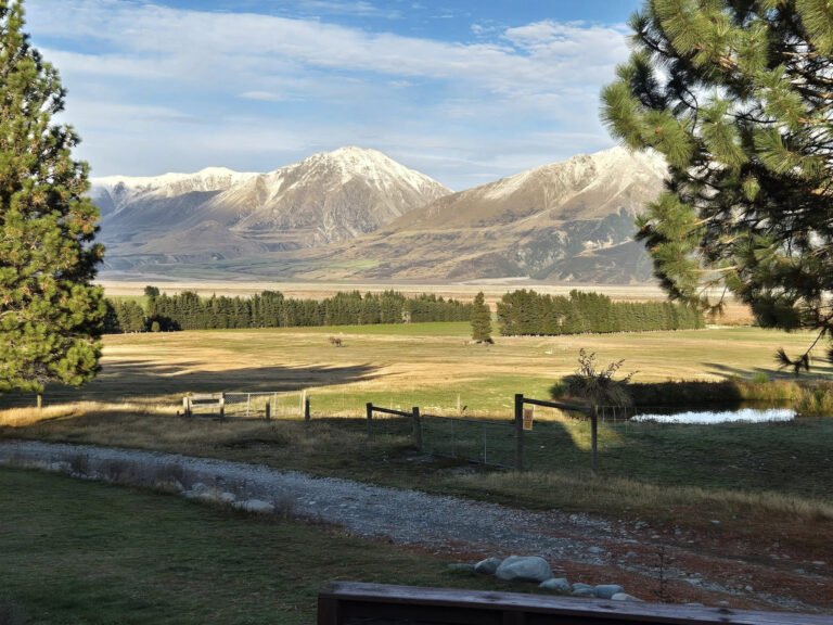 farm stays south island 768x576