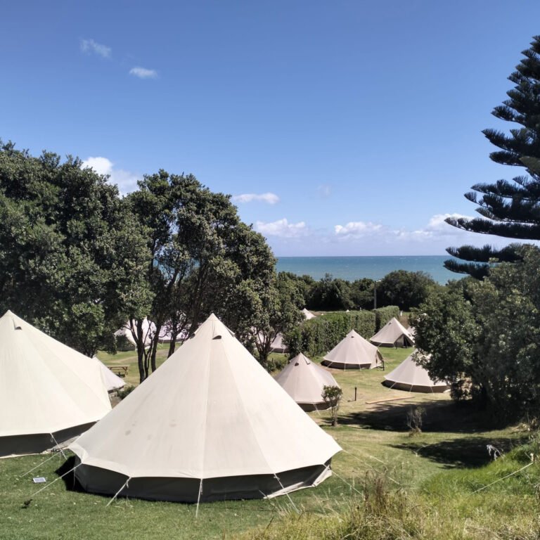 glamping taranaki 768x768