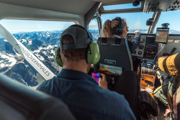 kaikoura flight 768x512