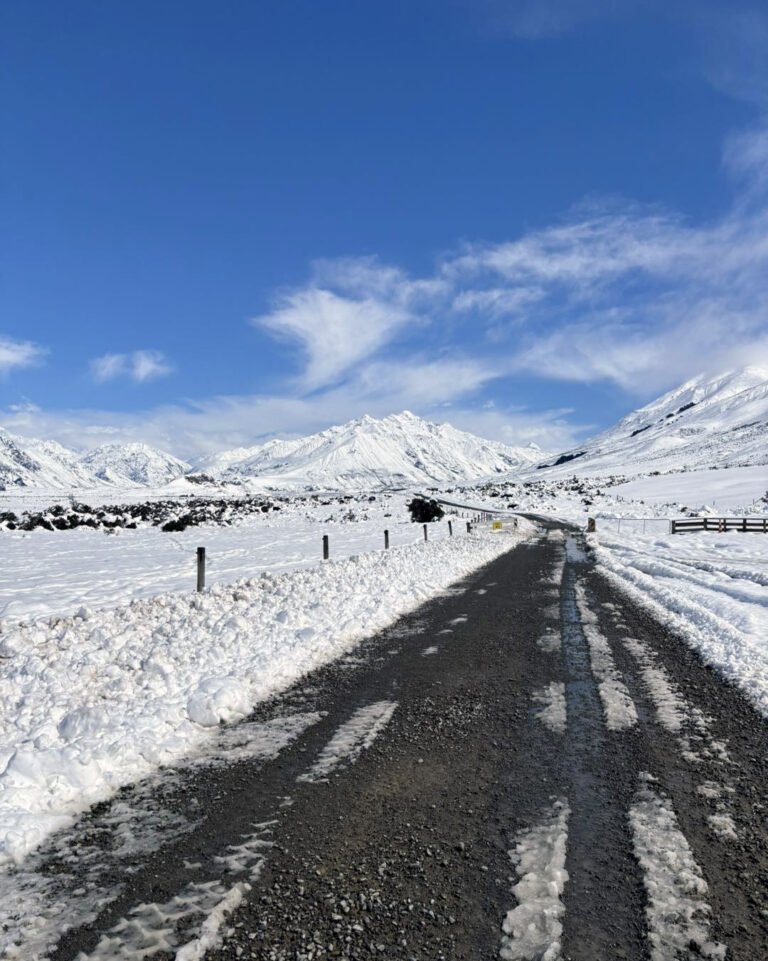 snow in canterbury nz 768x961