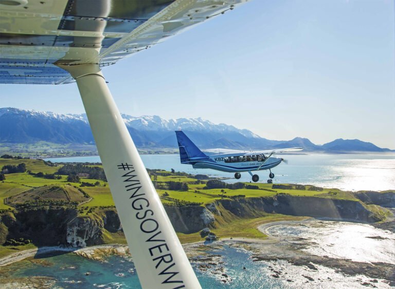 wings over whales kaikoura 1 768x563