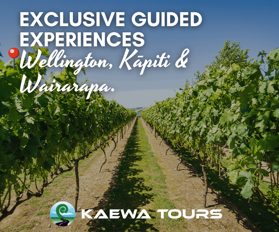 Private tours of Wellington, Kāpiti and Wairarapa.