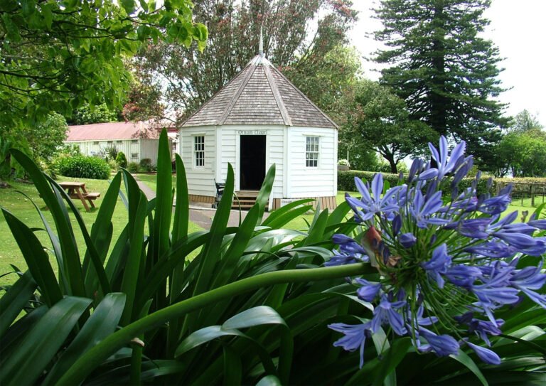 heritage buildings nz 768x543