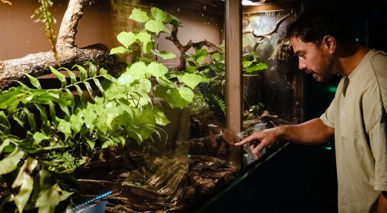 museums whangarei 768x422