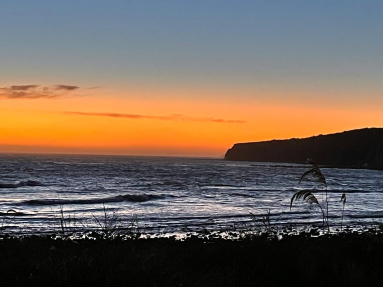 off grid accommodation nz 768x576