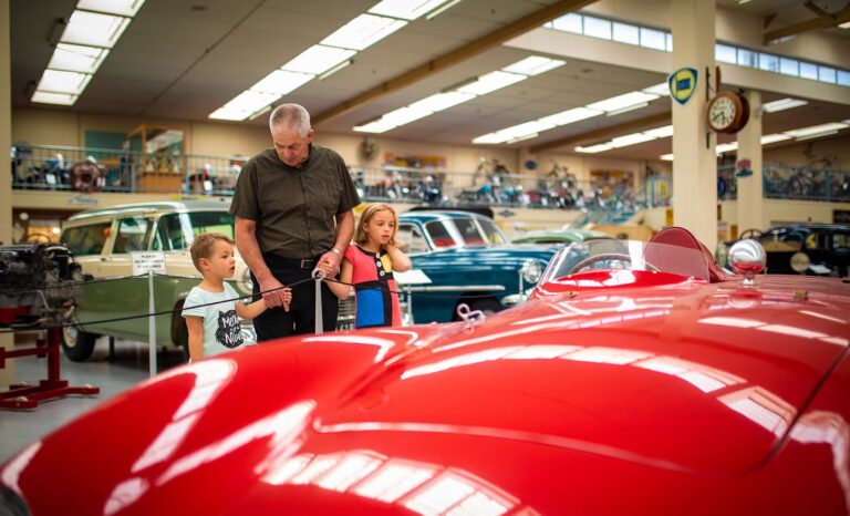 things to do kapiti 768x466