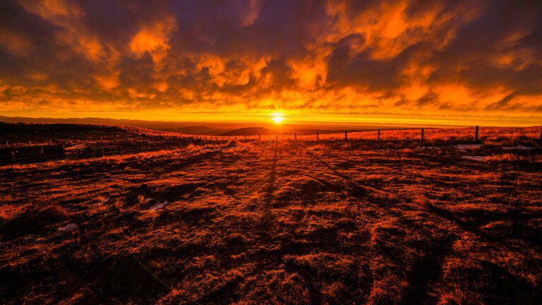 view of south island farmstay 768x432