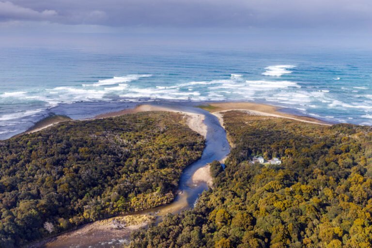 waitutu forest lodge 768x512