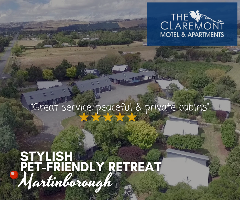 stylish comfort with motel accommodation Martinborough