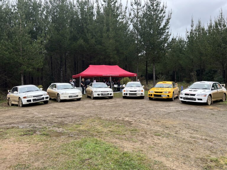 maramarua forest 768x576