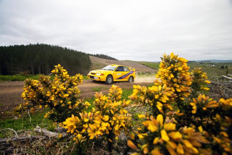 race car driving maramarua forest 768x512