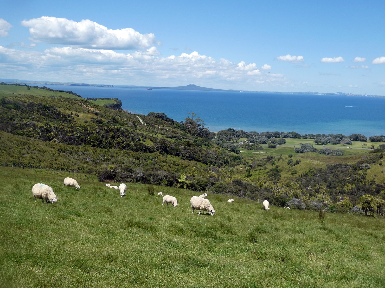 Shakespear Park Auckland