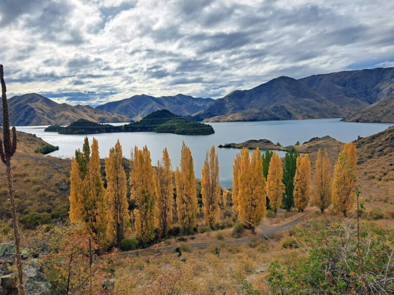 south island bike tour 768x576