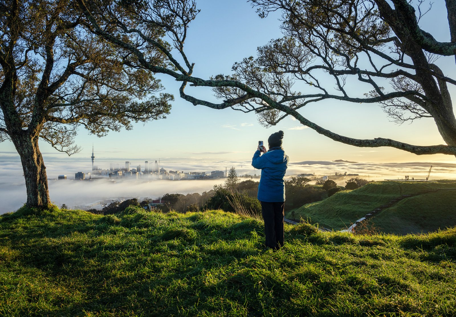 auckland winter