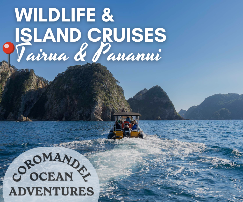 Boat cruising through Coromandel Islands on a wildlife and island eco tour from Tairua and Pauanui with Coromandel Ocean Adventures