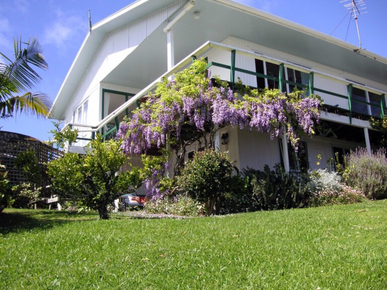 accommodation russell nz 768x576