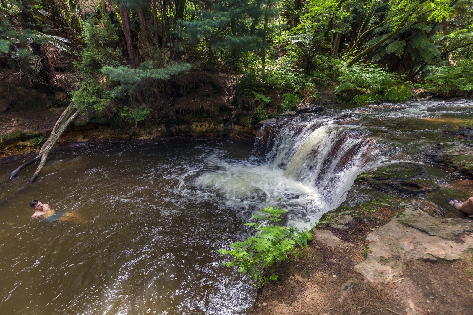 Relaxing at Kerosine Creek near Rotorua, a natural hot spring in the forest
