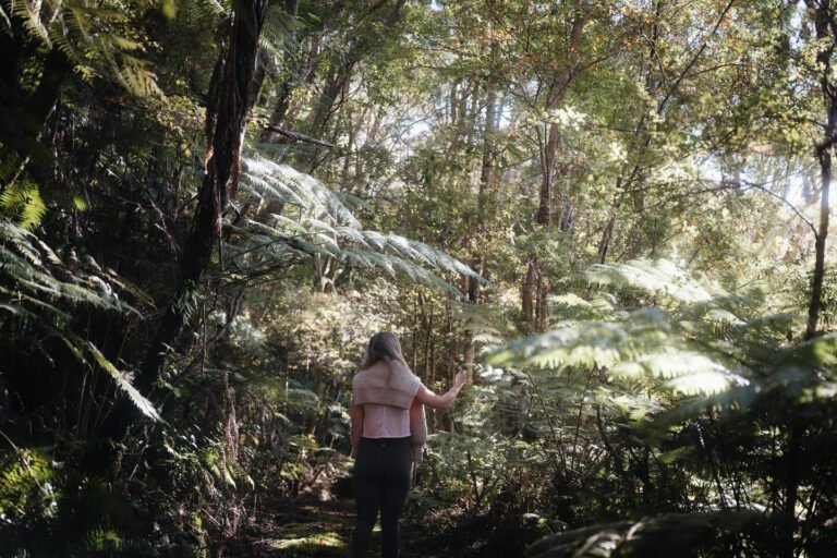 opua accommodation nz 768x512