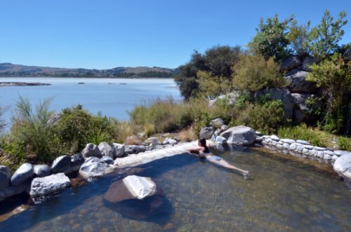 Natural hot pool in Rotorua New Zealand