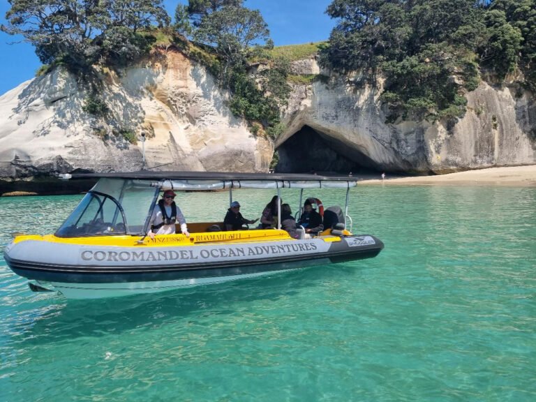 boat tour to cathedral cove coromandel 768x576