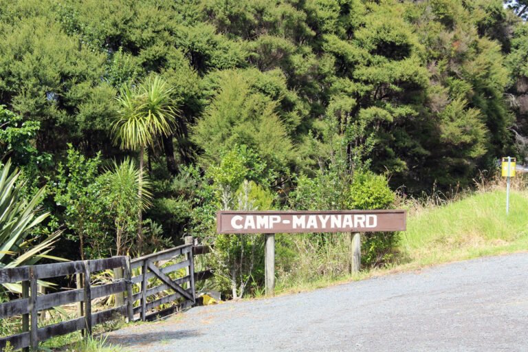 camp maynard albany auckland entrance 768x512