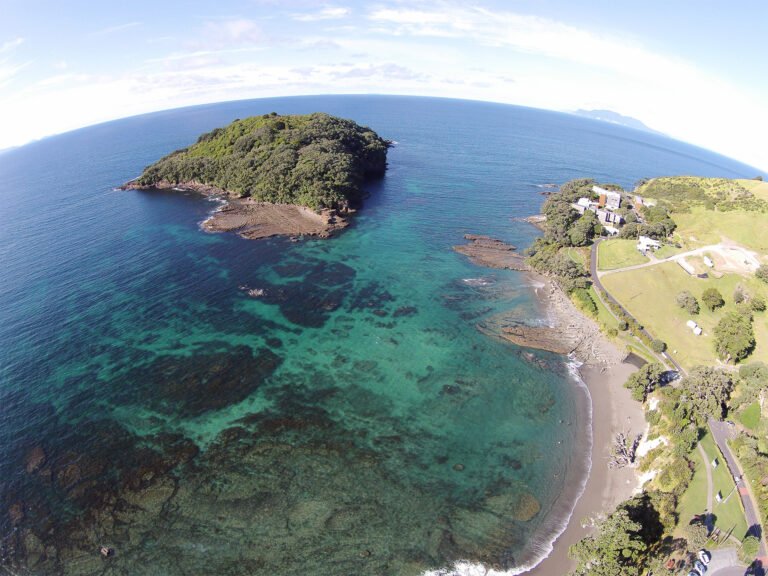 goat island auckland nz 1 768x576