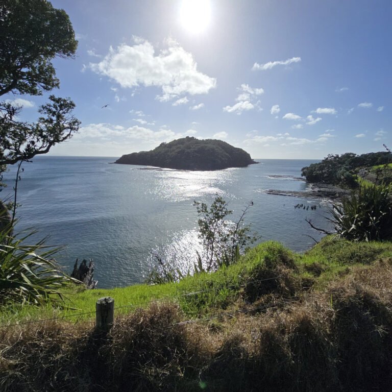 goat island auckland nz 768x768