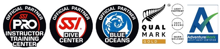 dive and snorkel at goat island auckland