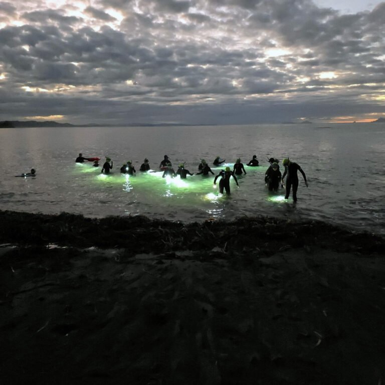 night snorkeling auckland 768x768