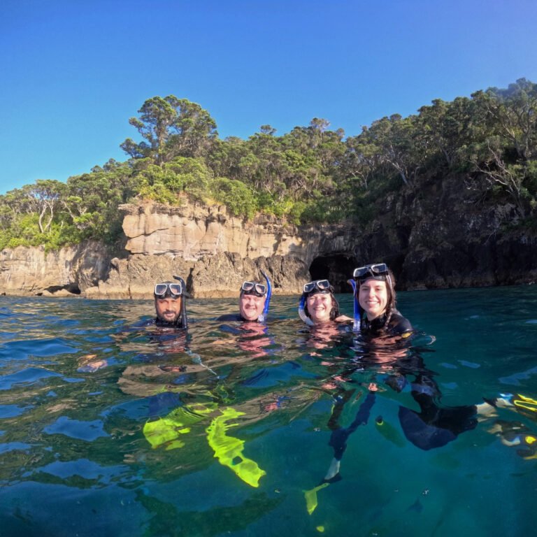 snorkeling auckland 768x768