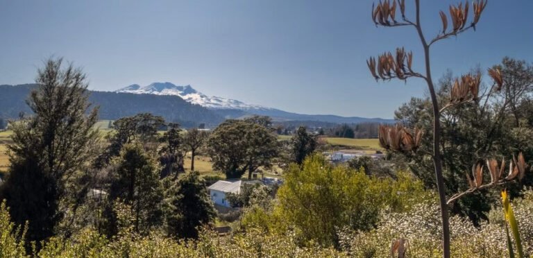 views of mt ruapehu from ohakune accommodation 768x372