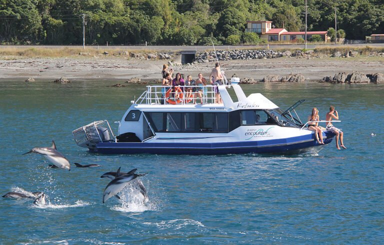Dolphin boat tour Kaikoura 768x490
