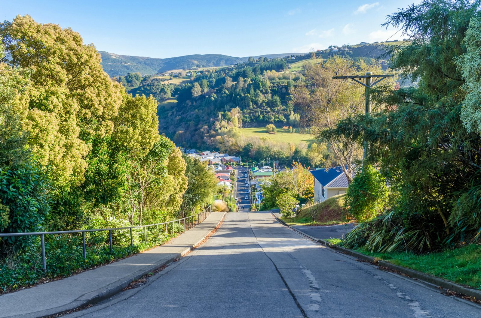 Baldwin Street in Dunedin, the world's steepest street
